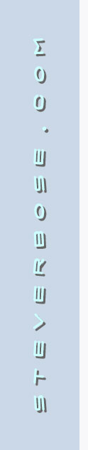 steverbose.com logo